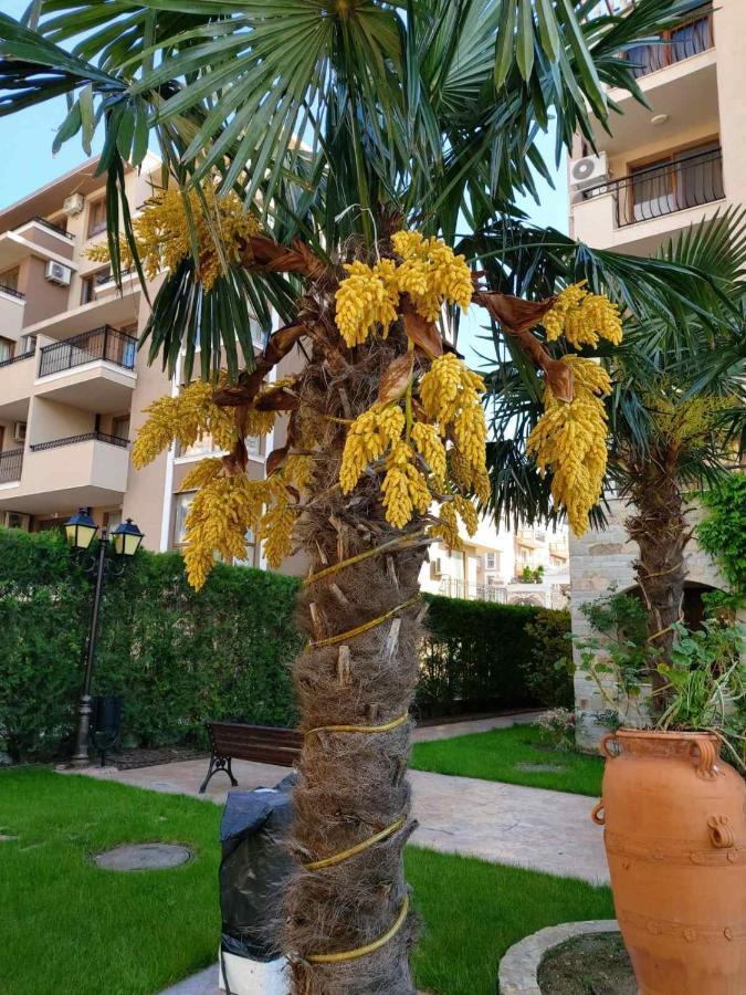 Cascadas Studio Apartment Sunny Beach Exterior photo